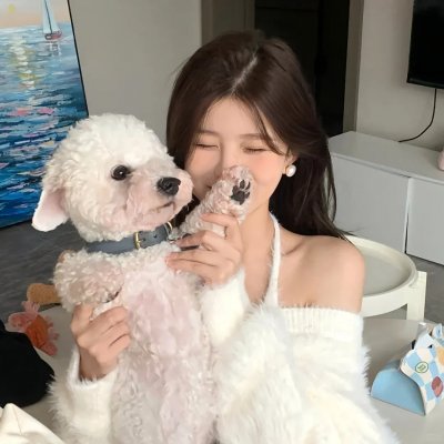 小姐姐请回答